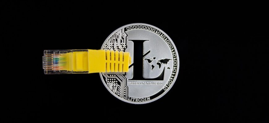 cryptocurrency, money, litecoin, digital, cash, payment, investment, crypto, blockchain, cryptography, ledger, currency, asset, concept, decentralized, coin, distributed, decentralization, exchange, usb, ethernet, black money, black digital, litecoin, litecoin, litecoin, litecoin, litecoin