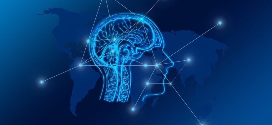 transformation, web, brain, network, city, skyline, computer, digital, www, computer science, transfer, bits, data, networking, communication, connection, blockchain, brain, brain, brain, brain, brain