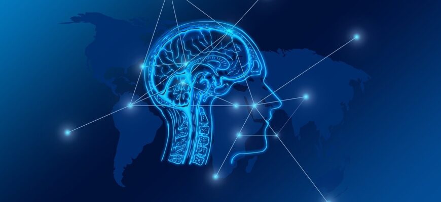 transformation, web, brain, network, city, skyline, computer, digital, www, computer science, transfer, bits, data, networking, communication, connection, blockchain, brain, brain, brain, brain, brain