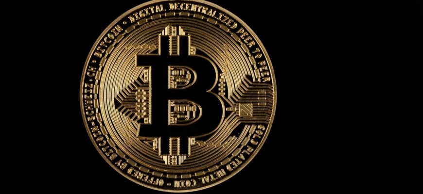 bitcoin, gold, coin, icon, symbol, logo, bitcoin gold, bitcoin logo, currency, cryptocurrency, black background, bitcoin, bitcoin, bitcoin, bitcoin, logo, logo, logo, logo, logo, bitcoin logo, bitcoin logo, bitcoin logo