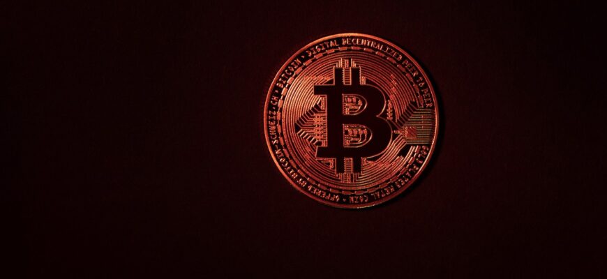 bitcoin, coin, icon