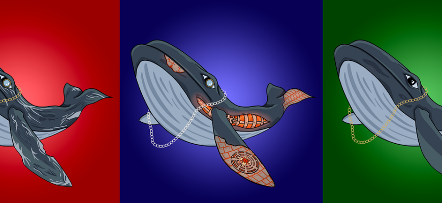 blue whale, nft, crypto