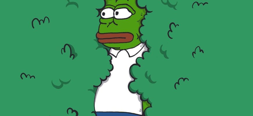 memes, nature, frog