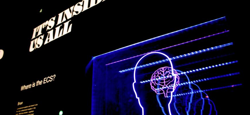 a neon display of a man's head and brain