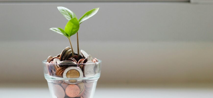 green plant in clear glass cup